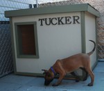 Tucker - Alberta, Canada